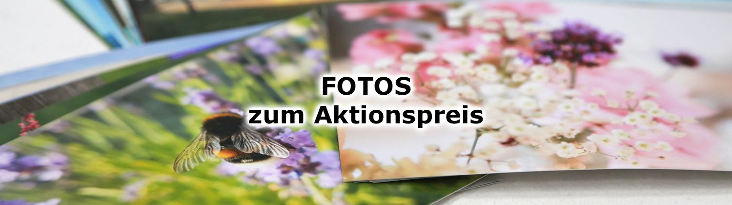 Fotos