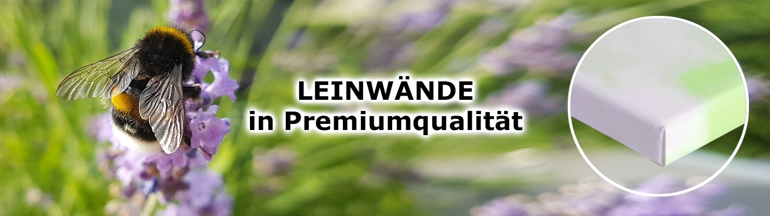 Leinwände