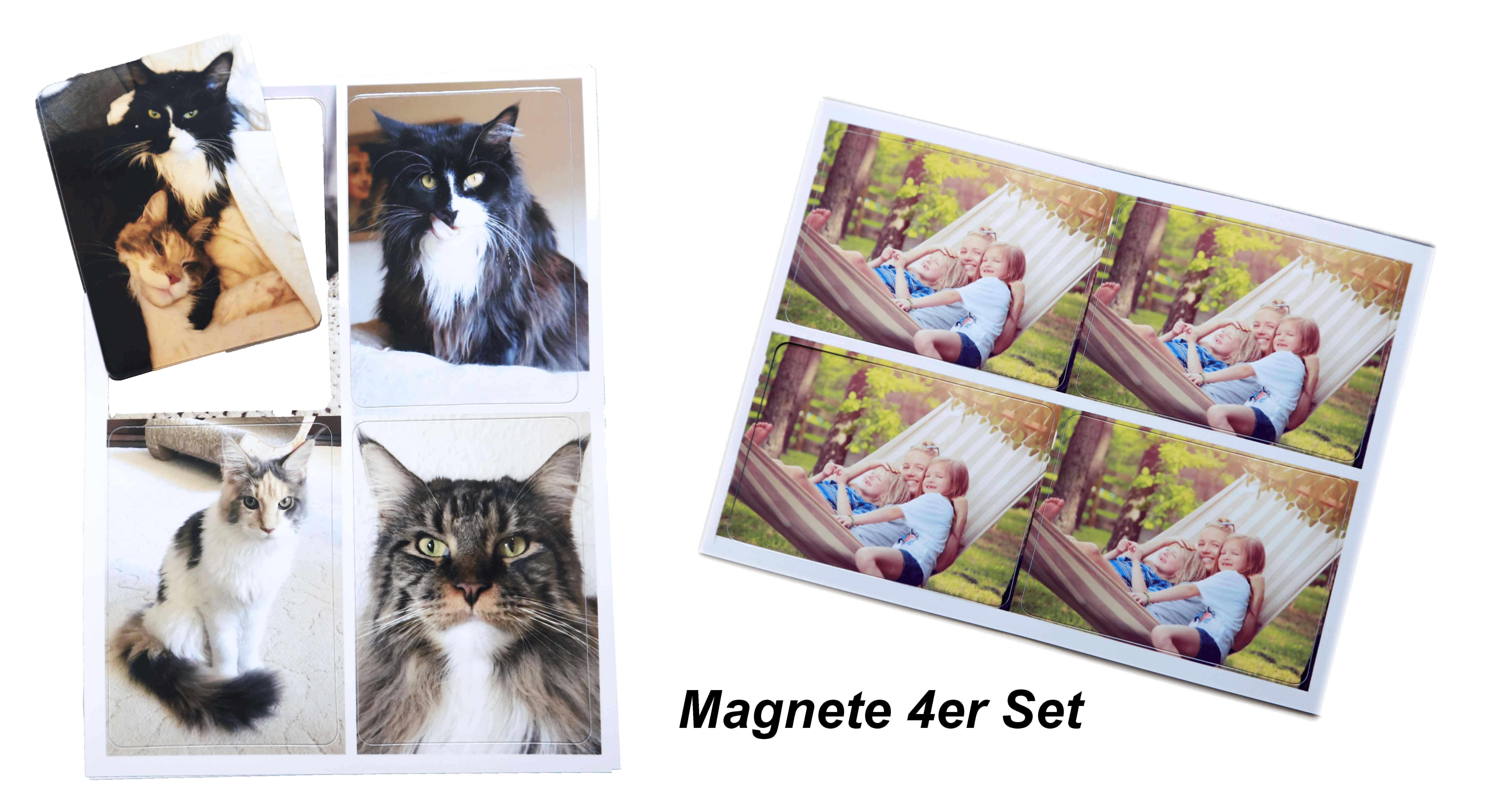 Magnete_Katzen_Familie.png
