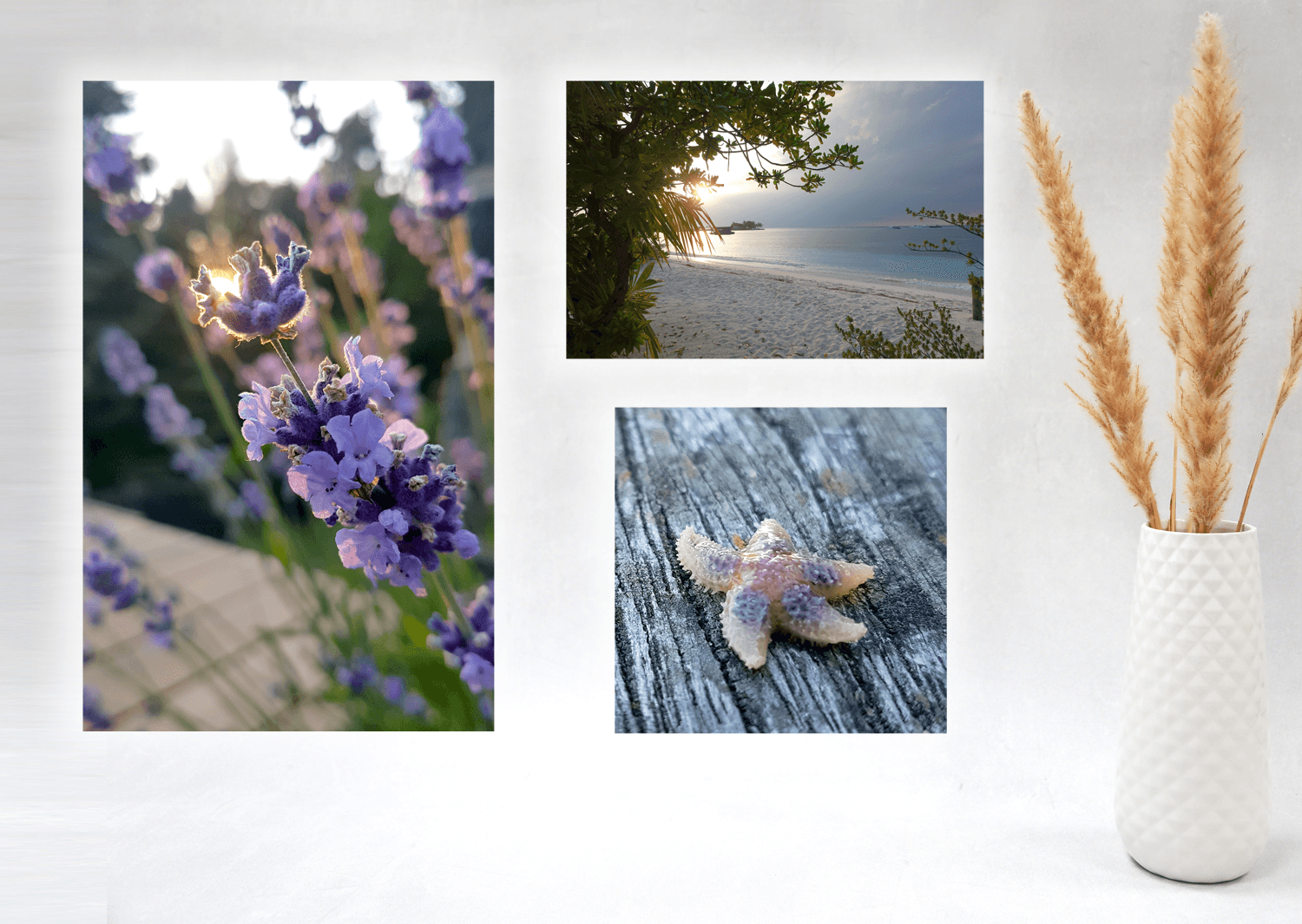 Wandbilder